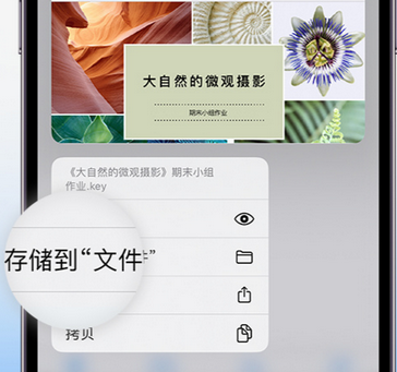 友谊apple维修中心分享iPhone文件应用中存储和找到下载文件