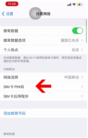 友谊苹果14维修网分享如何给iPhone14的SIM卡设置密码 