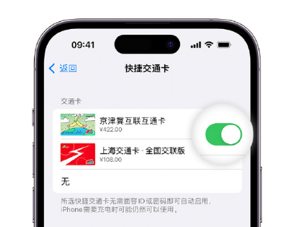 友谊apple维修点分享iPhone上更换Apple Pay快捷交通卡手绘卡面 