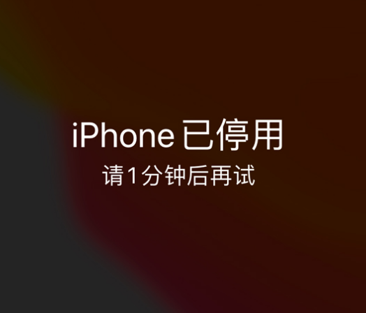 友谊苹果手机维修分享:iPhone 显示“不可用”或“已停用”怎么办？还能保留数据吗？ 