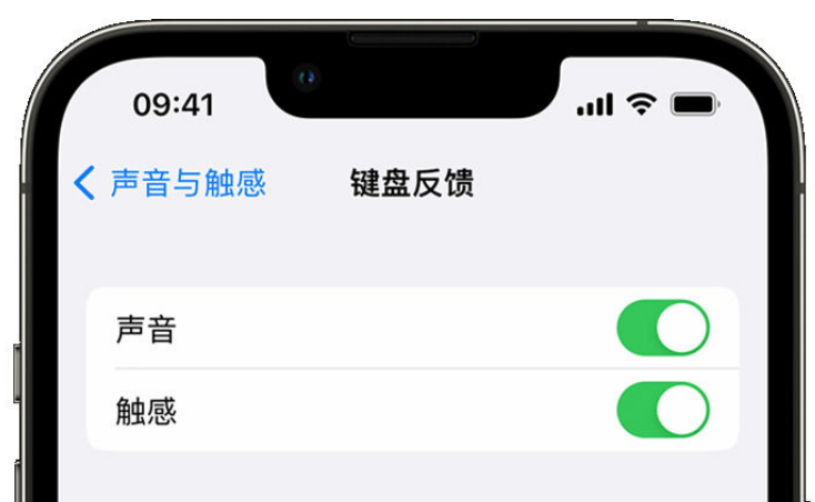 友谊苹果手机维修分享iPhone 14触感键盘使用方法 