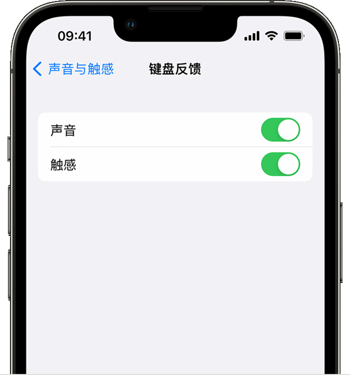 友谊苹果14维修店分享如何在 iPhone 14 机型中使用触感键盘 