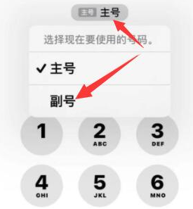 友谊苹果14维修店分享iPhone 14 Pro Max使用副卡打电话的方法 