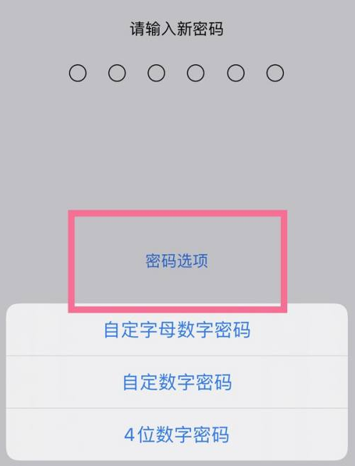 友谊苹果14维修分享iPhone 14plus设置密码的方法 