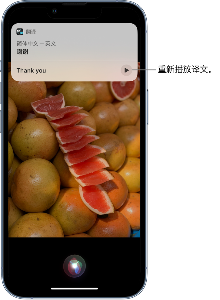 友谊苹果14维修分享 iPhone 14 机型中使用 Siri：了解 Siri 能帮你做什么 