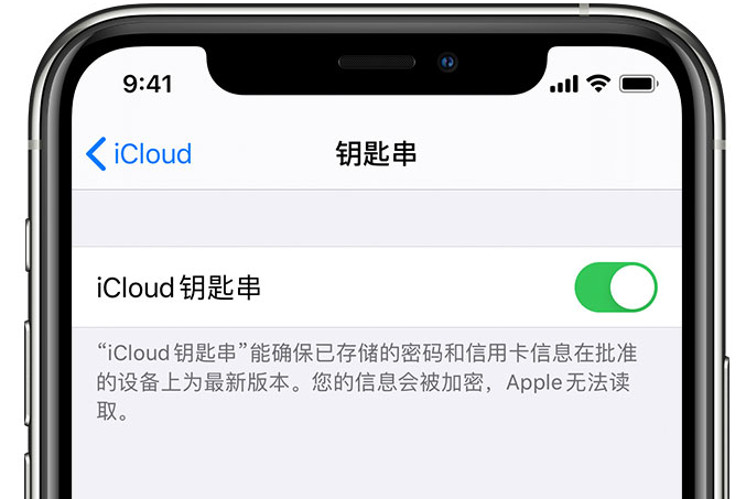 友谊苹果手机维修分享在 iPhone 上开启 iCloud 钥匙串之后会储存哪些信息 