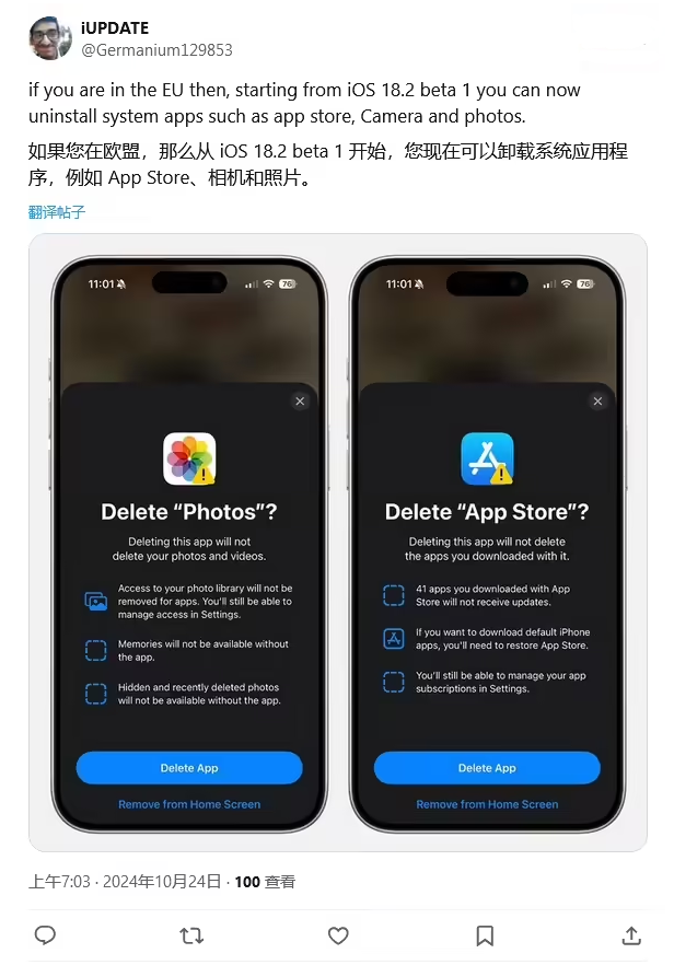 友谊苹果手机维修分享iOS 18.2 支持删除 App Store 应用商店 